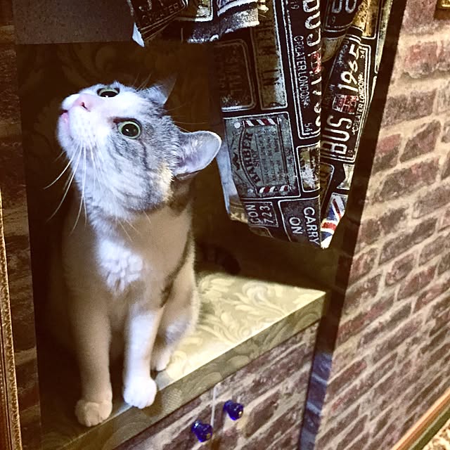emmyyさんの実例写真