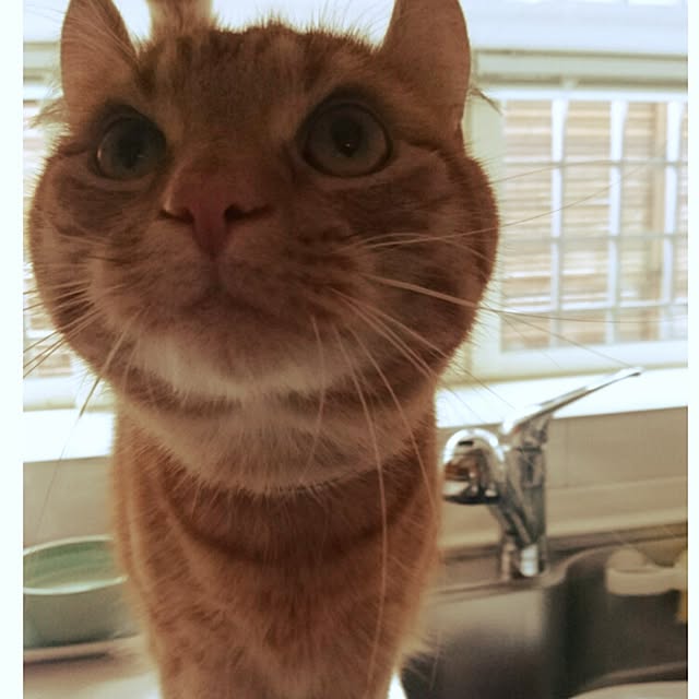 mama26さんの実例写真