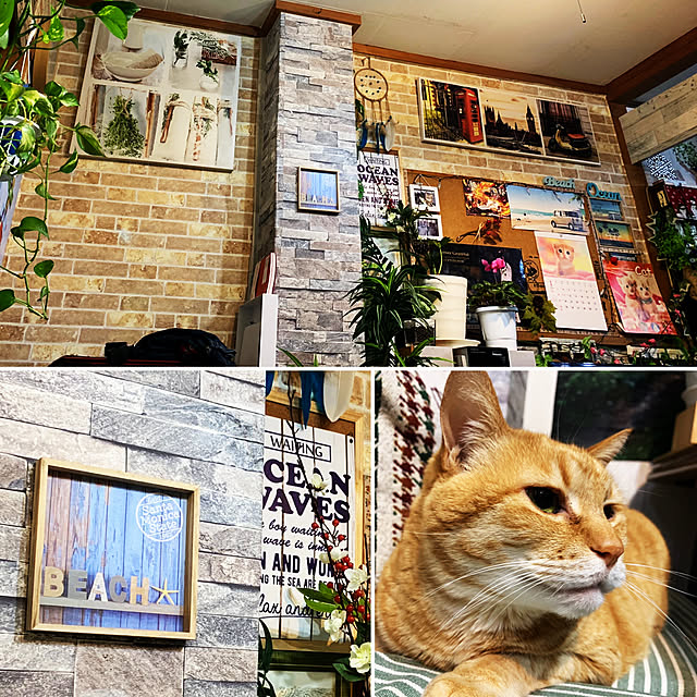 tututu0204さんの実例写真