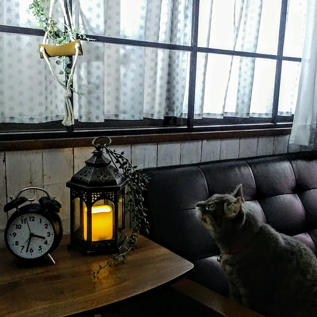 naoporonさんの実例写真