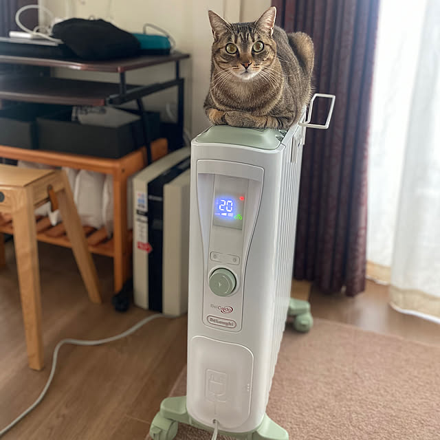 mikomaruさんの実例写真