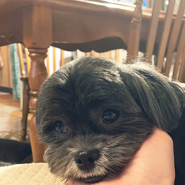 asaさんの実例写真