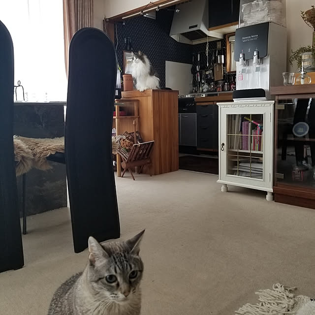 neoさんの実例写真