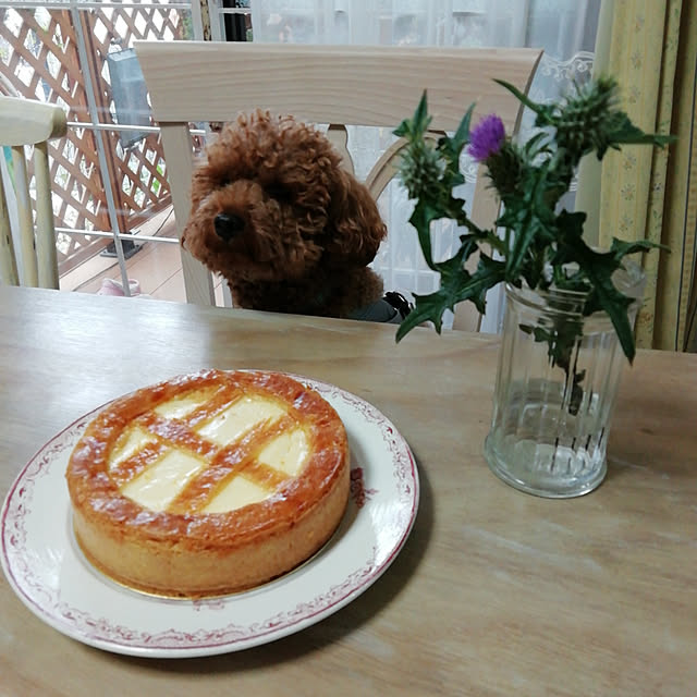 satochiさんの実例写真
