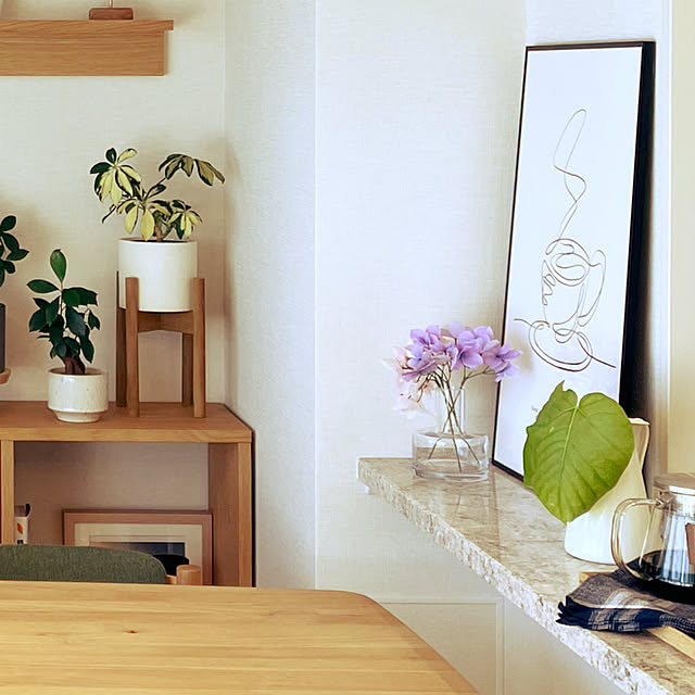 Anthuriumさんの部屋