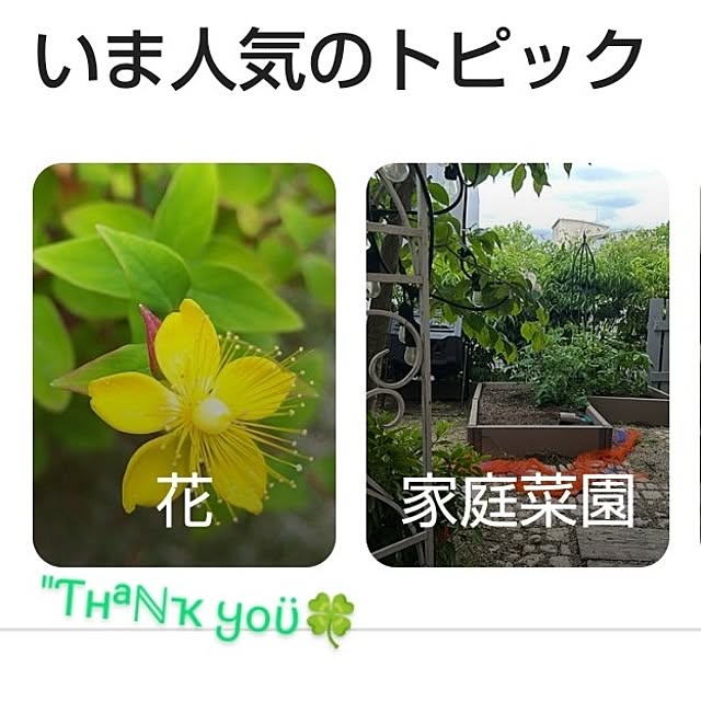 katさんの部屋