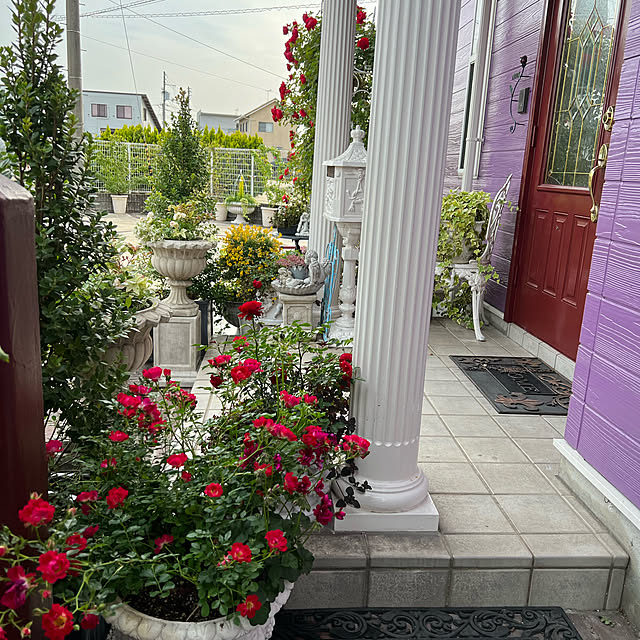 AYUKOさんの実例写真