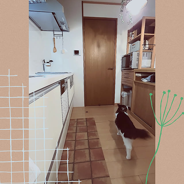 +CHIHARU+さんの実例写真