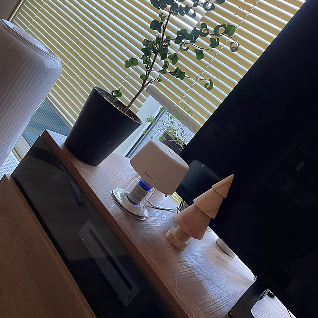 seriさんの実例写真