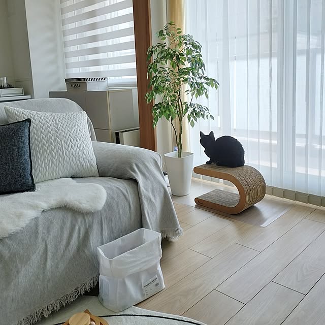 sakuraさんの実例写真