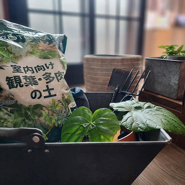 CYNOSさんの実例写真