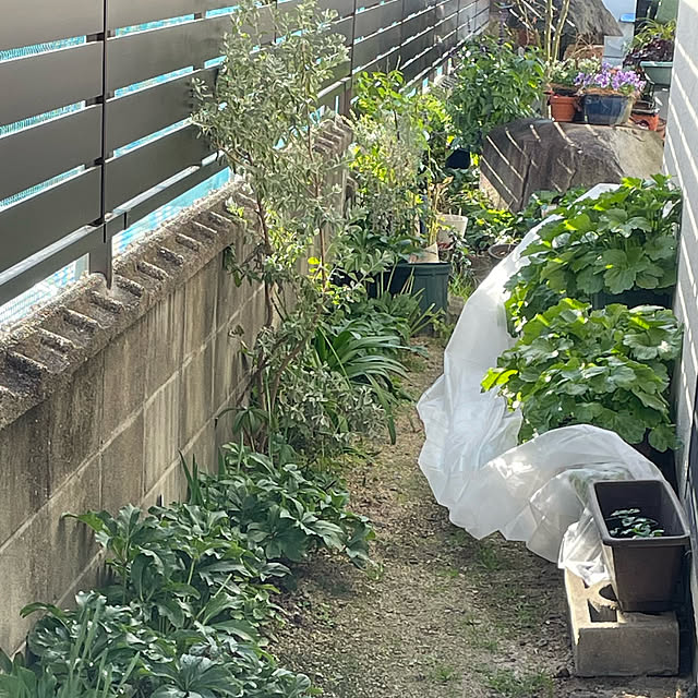 buchiさんの実例写真