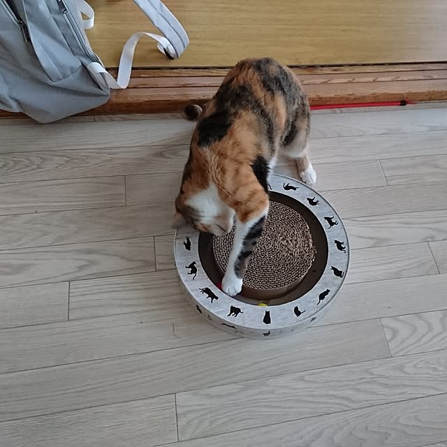 taleo07さんの実例写真