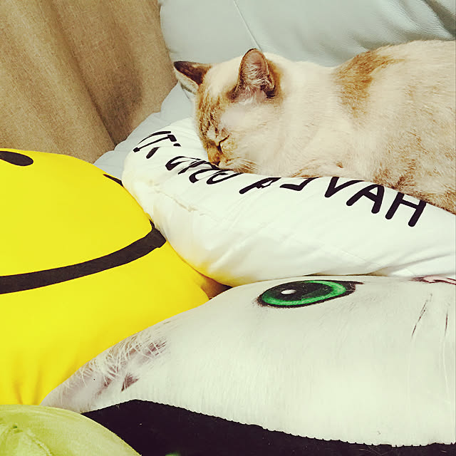 nachuさんの実例写真