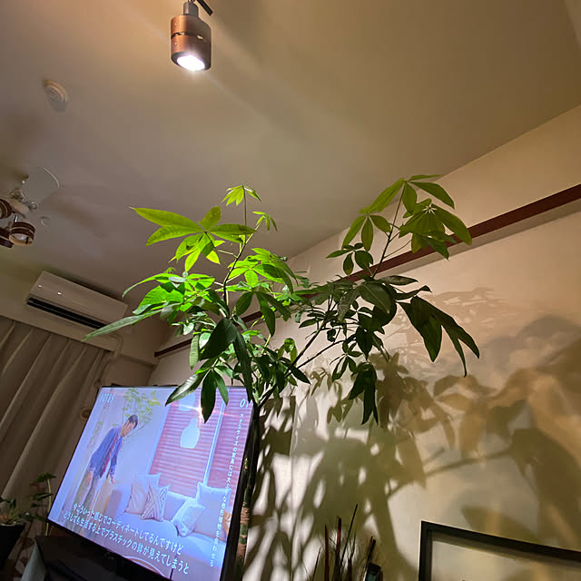 hiro7755さんの実例写真
