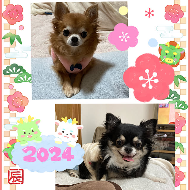 koroさんの実例写真