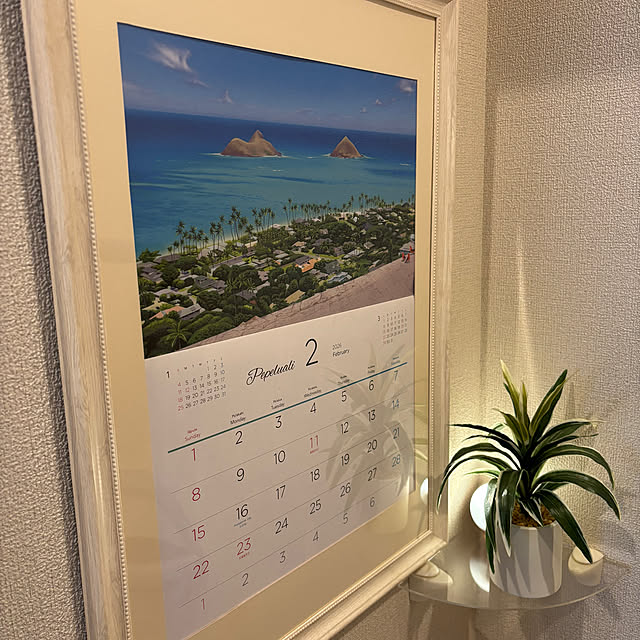 katoさんの実例写真