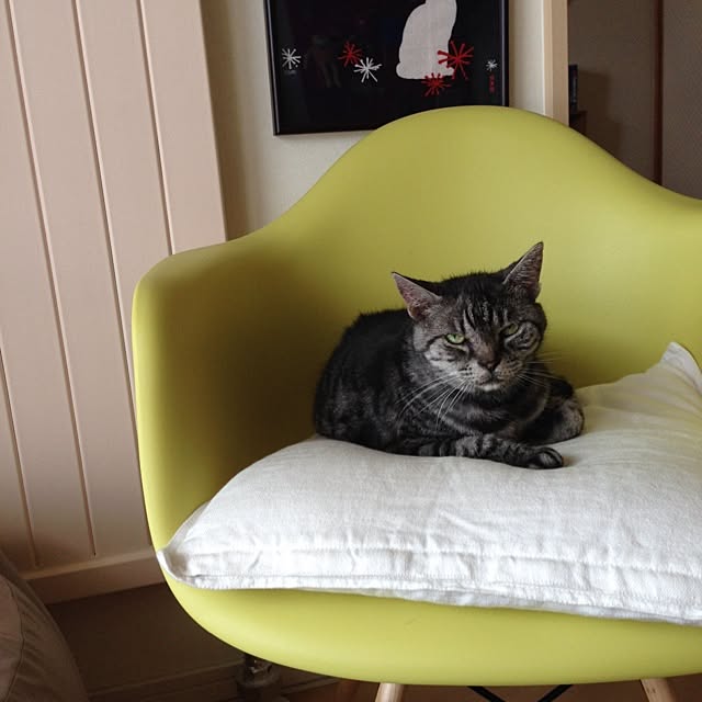 Sugamix711さんの実例写真