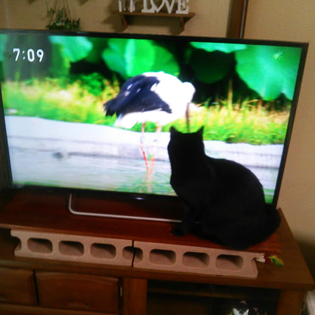 Tomopさんの実例写真