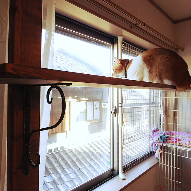 uutann320mozukuさんの実例写真