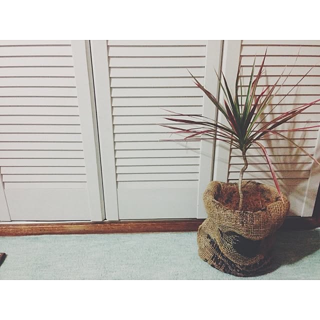 irie38さんの実例写真