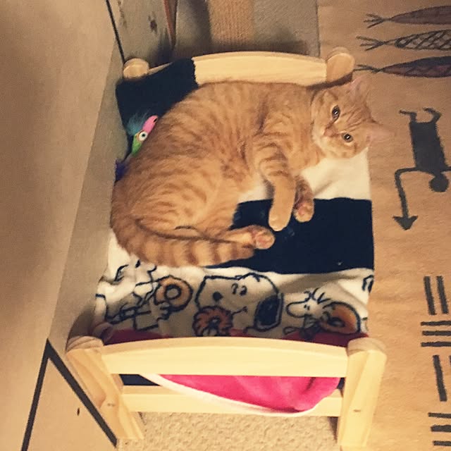 rumiさんの実例写真