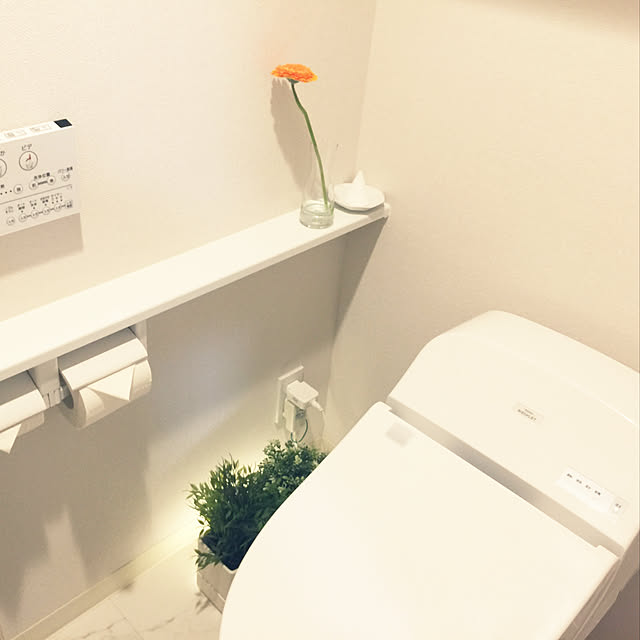 バス/トイレ/ナチュラル/IKEA/観葉植物/フェイクグリーン...などのインテリア実例 - 2017-11-05 19:23:43