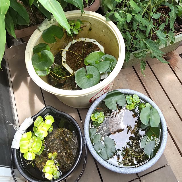 makiさんの部屋