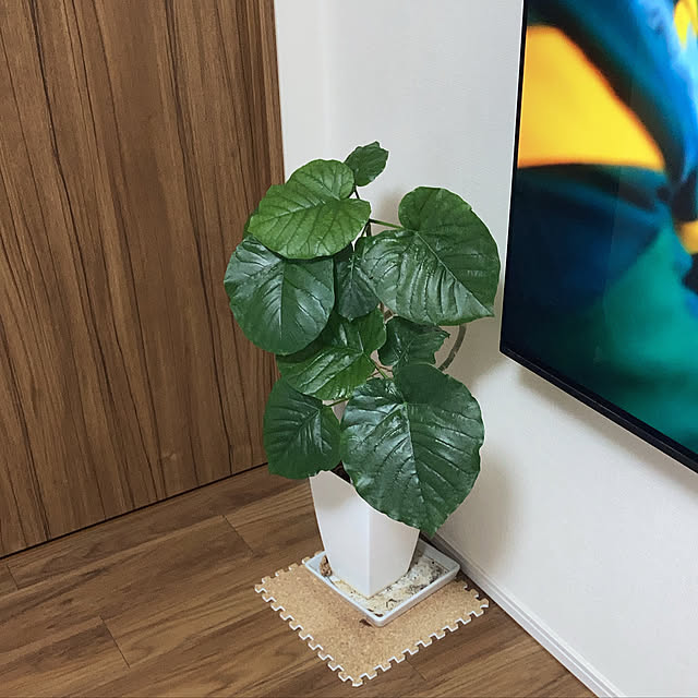 yumomitoさんの実例写真