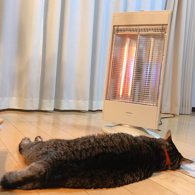 asaさんの実例写真