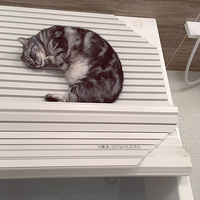 mikomaruさんの実例写真