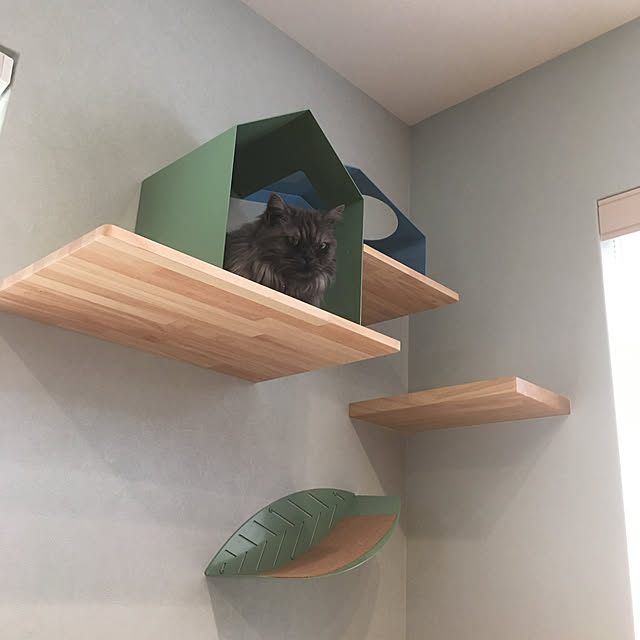 nyancohomeさんの実例写真