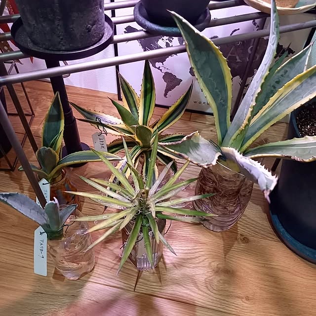 Rさんの実例写真