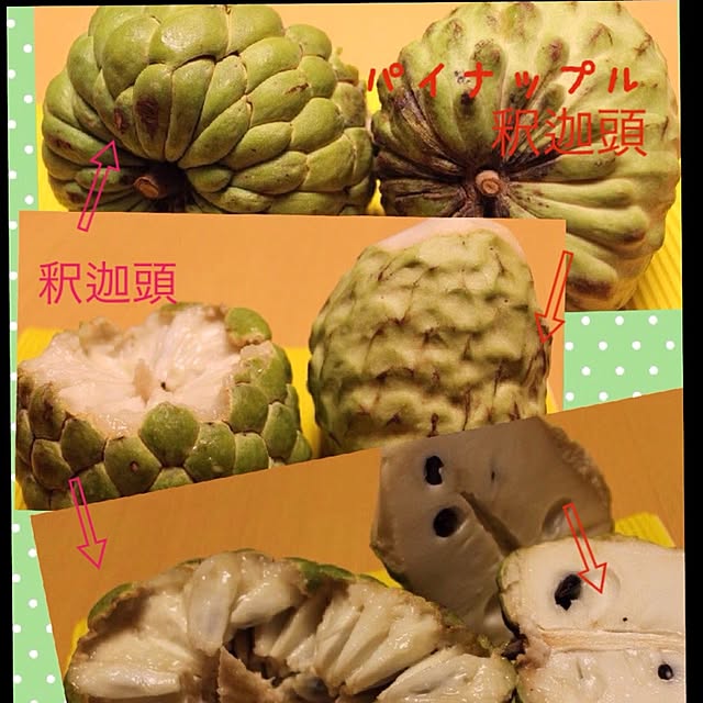 tamiさんの実例写真