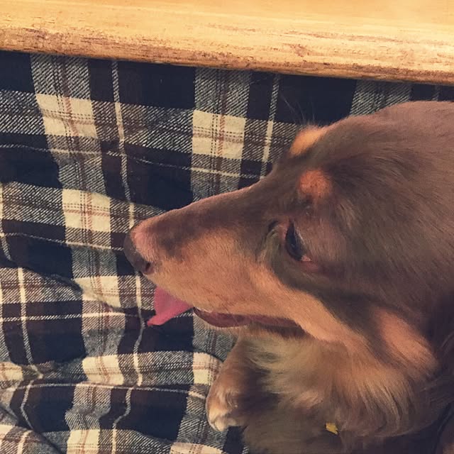 mimosaさんの実例写真