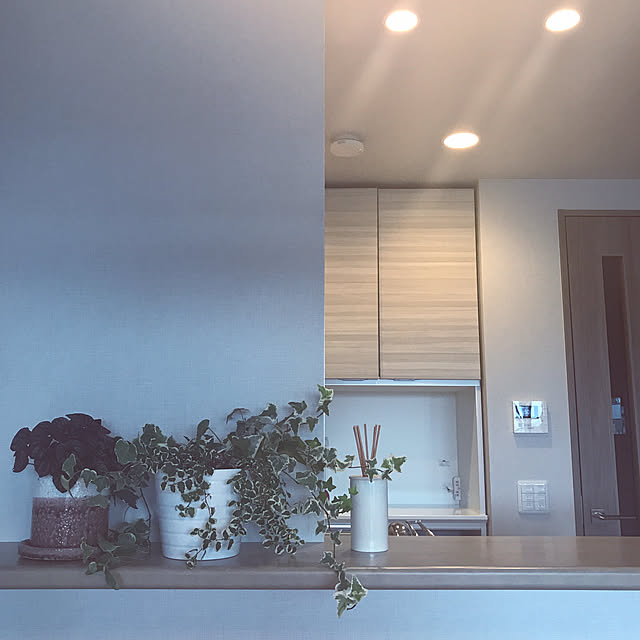 arinonさんの実例写真
