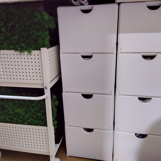 totoさんの部屋