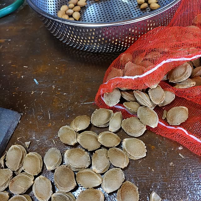 salacocoさんの部屋