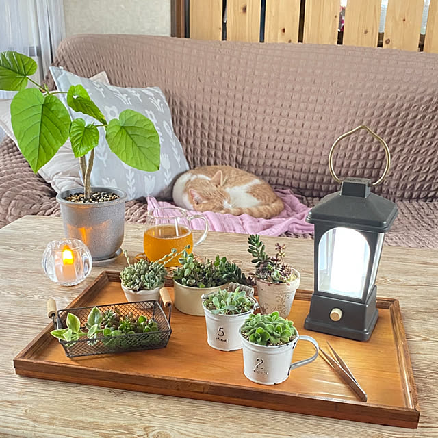 mintteaさんの実例写真
