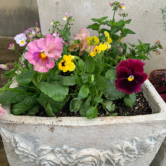 AYUKOさんの実例写真