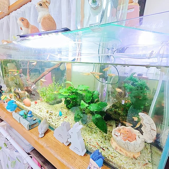 mariaさんの部屋