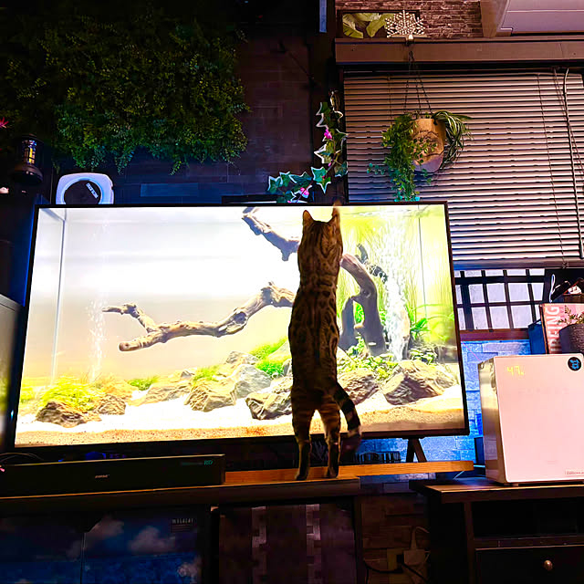 tututu0204さんの部屋