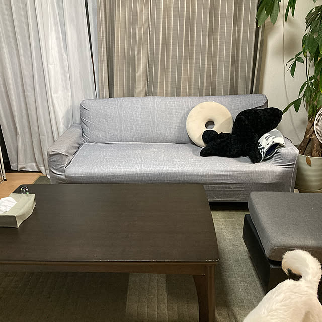 cheminさんの実例写真