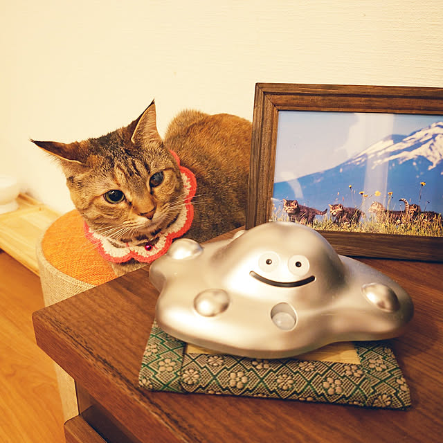 mochicoさんの実例写真