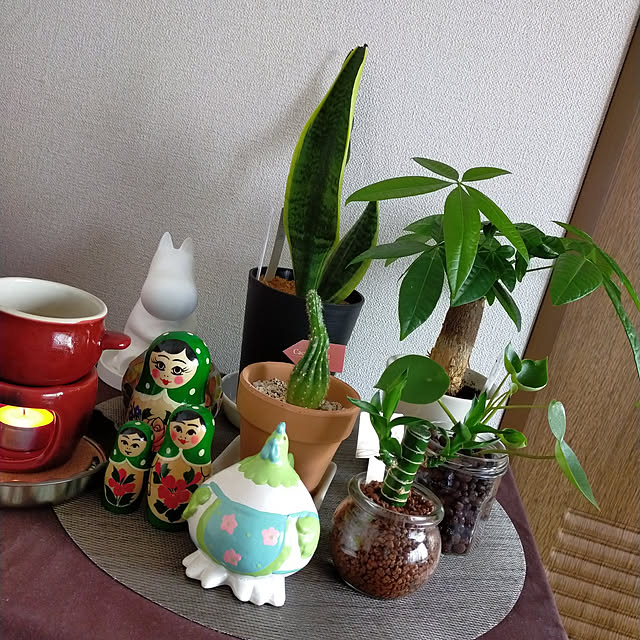 72matoさんの実例写真