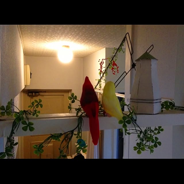 Makeesさんの実例写真