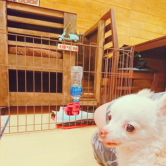koronさんの実例写真