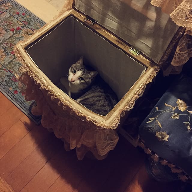 emmyyさんの実例写真