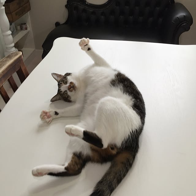 yuchiさんの実例写真