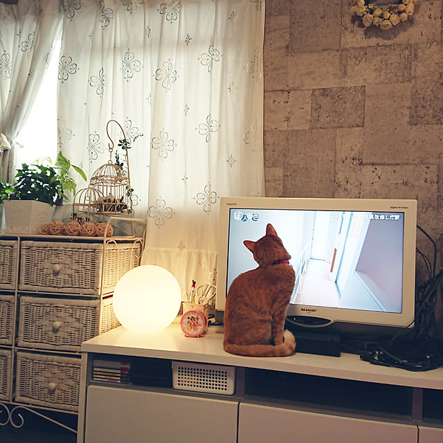 asuminさんの実例写真